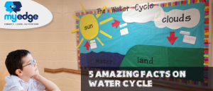 5 Amazing Facts n water cycle